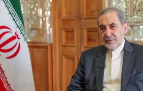ولايتي: الدبلوماسية المقتدرة اليوم دليل على حمایة استقرار المنطقة في ظل الاقتدار الوطني