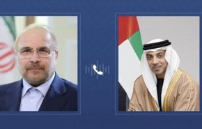 مكالمة هاتفية بين رئيس مجلس الشورى الإسلامي ونائب رئيس الإمارات