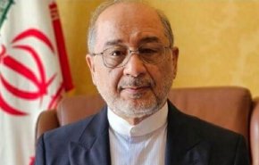 السفير الإيراني لدى إيطاليا: طهران تتمسك بالنهج 