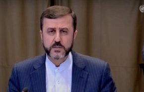 غريب ابادي يعلن مبادئ ايران الاساسية في المفاوضات