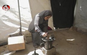 غاز مفقود ومواقد بدائية: معاناة النازحين في غزة