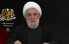الشيخ قاسم: لا وجود لمناطق صفراء أو حمراء وعلى 'إسرائيل' أن ترحل