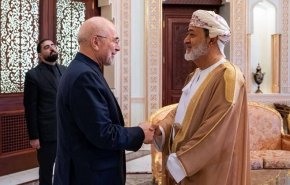 إيران وعمان تشكلان لجنة مشتركة لمناقشة إدارة مضيق هرمز
