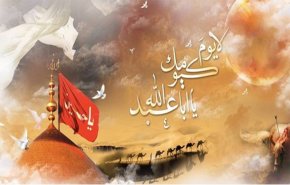 قراءة فلسفية في الأبعاد الحقيقية لمعركة الطف
