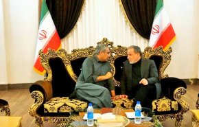 مباحثات بين عراقجي ووزير الداخلية الباكستاني في مدينة مشهد