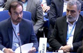 اعتراف آمریکا به جلوگیری ازسفر اسلامی/نجفی:اتریش صلاحیت میزبانی نهادهای بین‌المللی راندارد