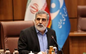 کمالوندی: آمریکا در کنفرانس عمومی آژانس شکست خورد