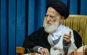 عیادت رئیس دفتر مقام معظم رهبری در قم از آیت‌الله شبیری زنجانی