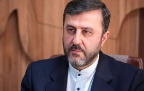 غریب‌آبادی: جهان فریب روایت‌سازی نتانیاهو را نمی‌خورد/ خروج ۷۷ هیات از سالن، گویا بود