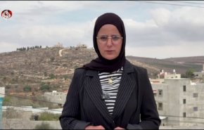 به آتش کشیدن یک خانواده فلسطینی و ربودن ۳۰۰ درخت زیتون آنها +فیلم