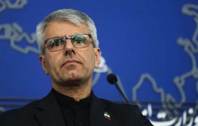 بقائی: دولت فرانسه برای ۲ هزار بازداشتی باید پاسخگو باشد