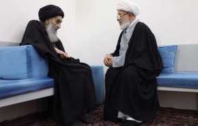 اعلام آمادگی آستان مقدس حسینی برای درمان رایگان بیماران فلسطینی

