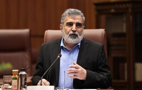 کمالوندی: منافع ملی را از طریق دیپلماسی یا در صحنه‌های نبرد پیگیری خواهیم کرد