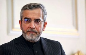 باقری کنی: نشست چهارجانبه تهران، ثمره مقاومت ملت ایران و رشادت نیروهای مسلح بود

