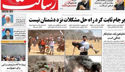 از پایتخت سازی روی خون تا حال و روز جانشینان تلگرام