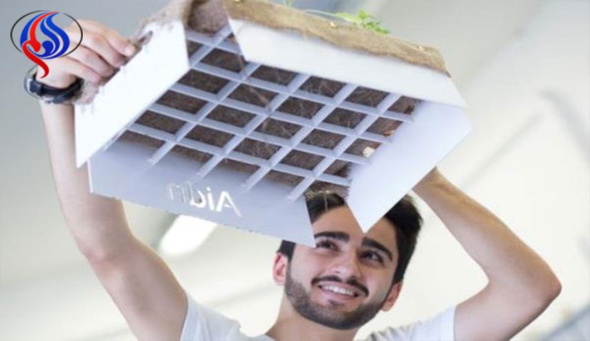 ساخت باغچه معلق بدون خاک در ایران!