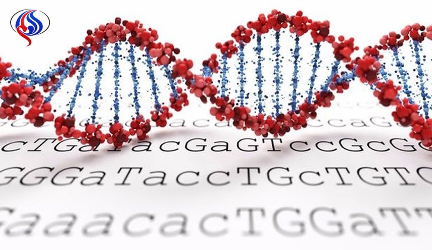 برای DNA خود رمز بگذارید!