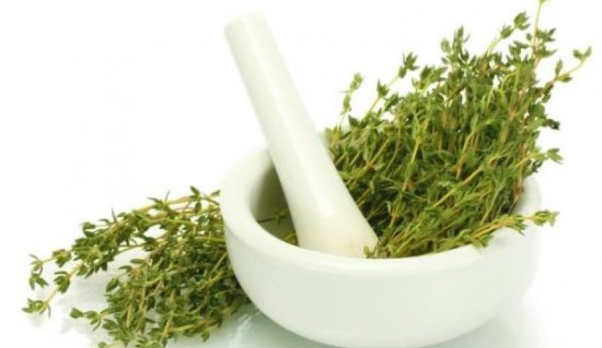 خواص درمانگر گیاه آویشن که از آن بی خبر هستید 