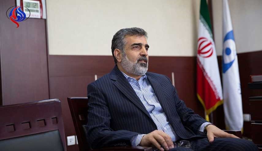كمالوندي: ملف تفتيش المنشآت العسكرية تم إغلاقه للأبد