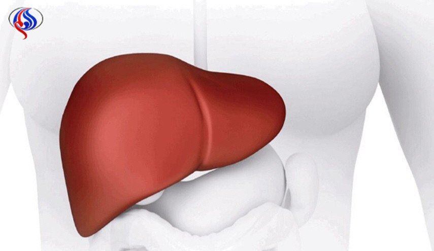 لحماية الكبد من تراكم السموم... تناولوا هذه الاطعمة