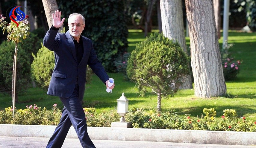 صالحي: لو تم الاخلال بالاتفاق النووي سنقوم بما يصيبهم بالذهول