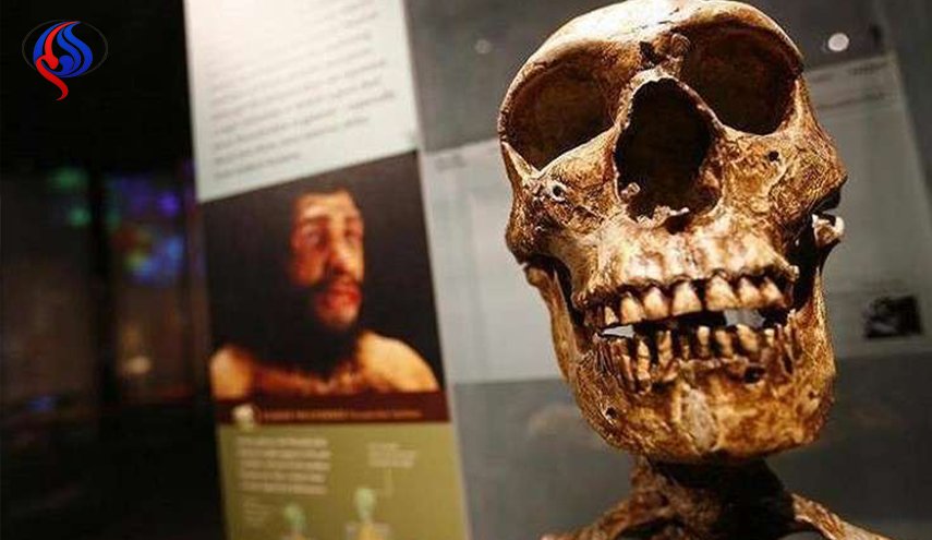 اكتشاف قد يغير نظرية التطور البشري
