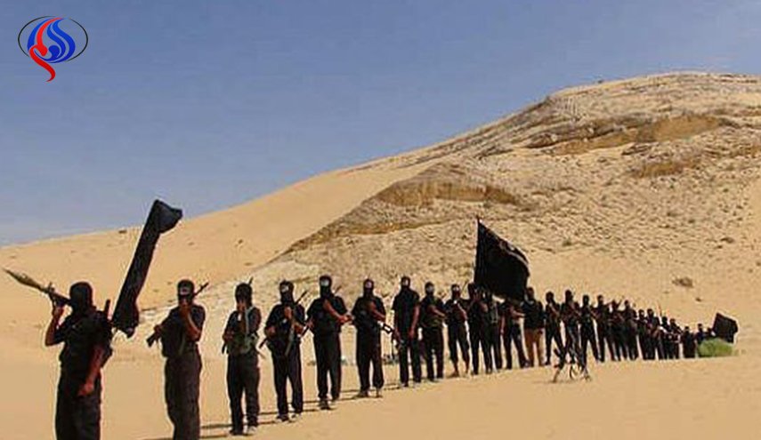 على خلفية أحداث سيناء .. دور 