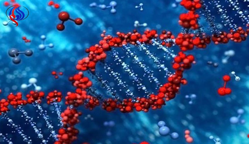 اكتشاف بروتين يحارب تطور الفيروسات وبعض أنواع السرطان