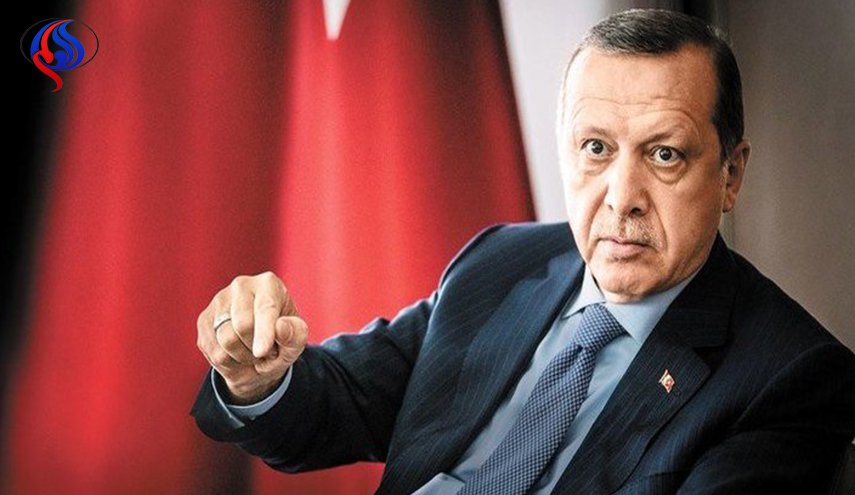 إردوغان: عناصر 