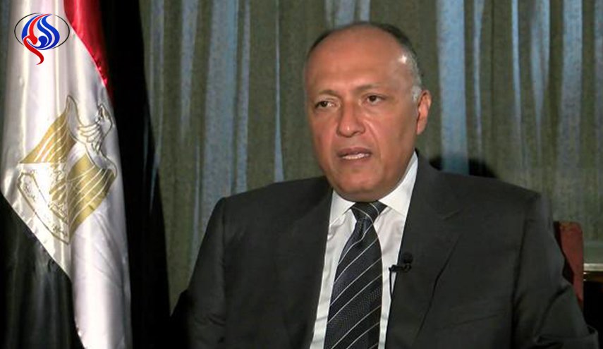 شكري يبرز مواقف مصر من القضايا الإقليمية