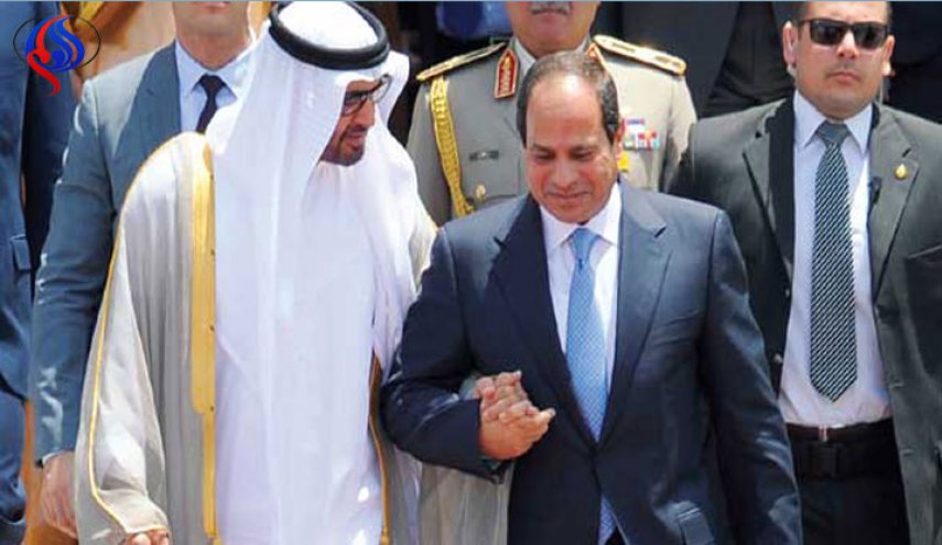 محلل مصري لأبناء زايد: 