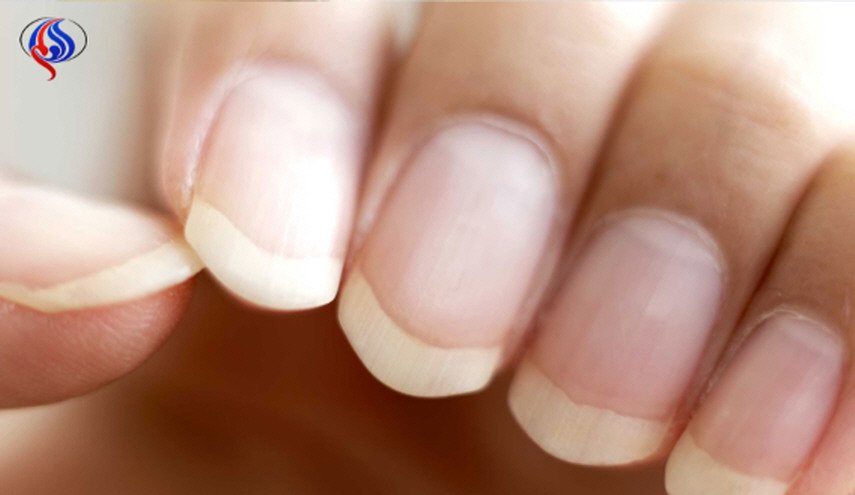 وصفات طبيعية لتقوية الاظافر طوال الشتاء
