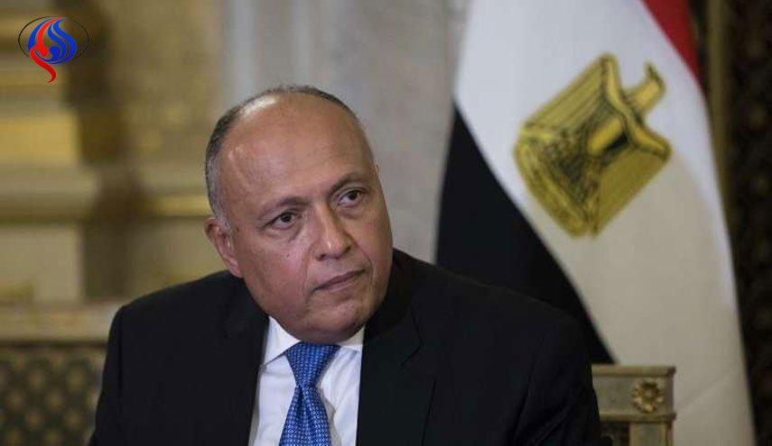 شكري في زيارة لأبوظبي للتنسيق