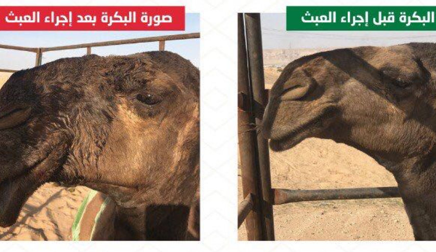 في السعودية ... 