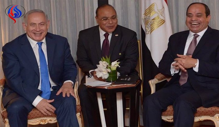 مصر تتهم نيويورك تايمز بالفبركة بشأن 
