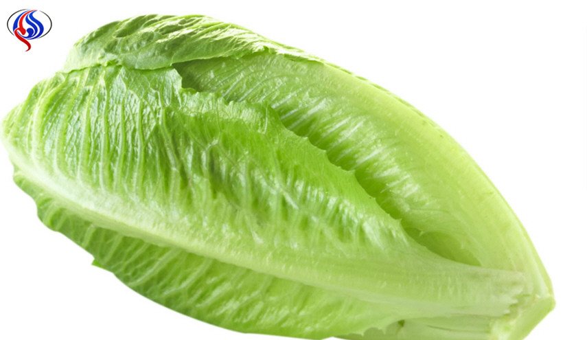 مشروب الخس.. لإنقاص الوزن سريعاً!