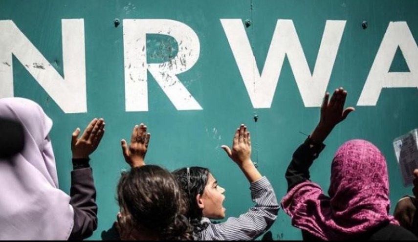 فلسطين.. حماس تدعو العالم إلى دعم 