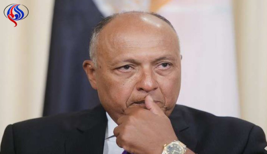 سامح شكري يعلق على إمكانية دخول مصر في حرب مع دول أخرى