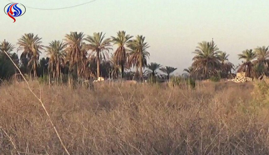 بالصور.. العثور على 