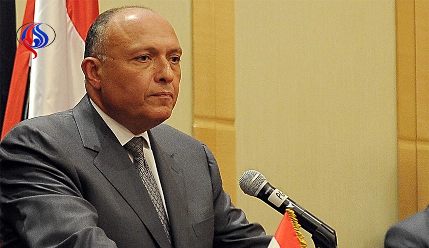 شكري: أي تدخل عسكري بسوريا تقويض لفرص الحل السياسي