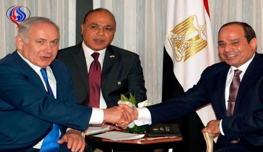 كاتبة مصرية: إعلامنا ينتصر للصهاينة نكاية بقطر