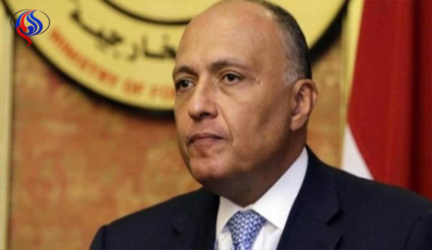 شكرى يبدأ جولة أفريقية تشمل جنوب السودان و كينيا