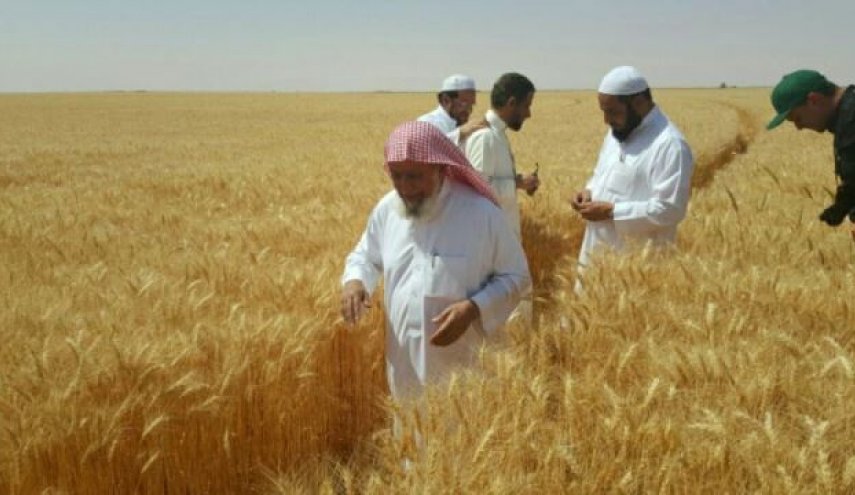 تعرف على حجم الإستثمارات السعودية بالسودان