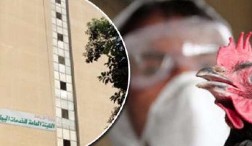 مصر: السيطرة على 39 بؤرة لأنفلونزا الطيور فى 17 محافظة