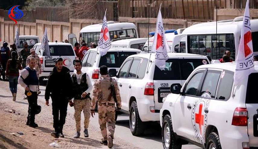 مسؤولة هولندية تطالب حكومة بلادها بإعادة أبناء المسلحين من سوريا