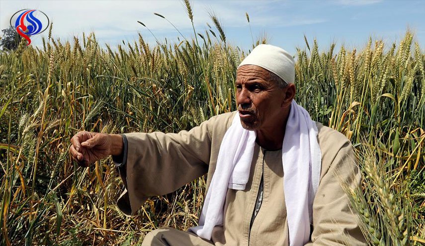 مزارعون مصريون يواجهون مصيراً مجهولاً بسبب سد النهضة الأثيوبي
