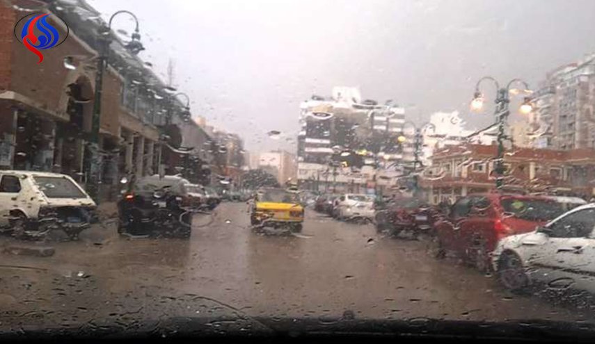 خبير: 