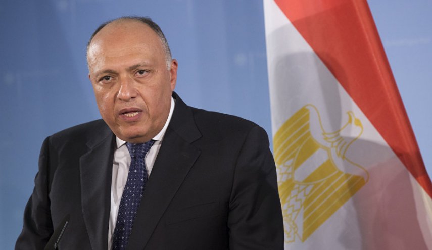 ماذا قال شكري حول ارسال قوات مصرية الى سوريا؟