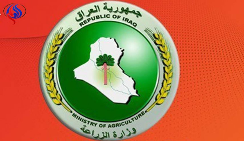 خمسة أصناف من الخضراوات منع العراق استيرادها..ماهي ؟؟