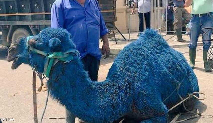 انتشار 